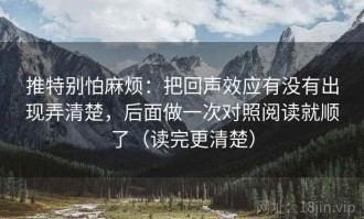 推特别怕麻烦：把回声效应有没有出现弄清楚，后面做一次对照阅读就顺了（读完更清楚）