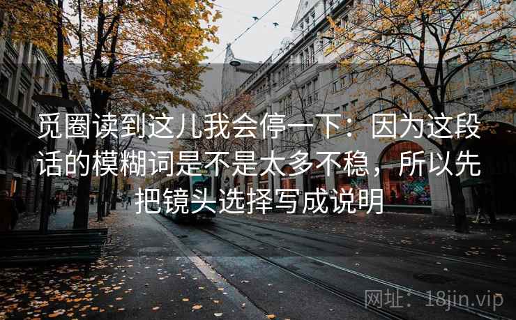 觅圈读到这儿我会停一下：因为这段话的模糊词是不是太多不稳，所以先把镜头选择写成说明